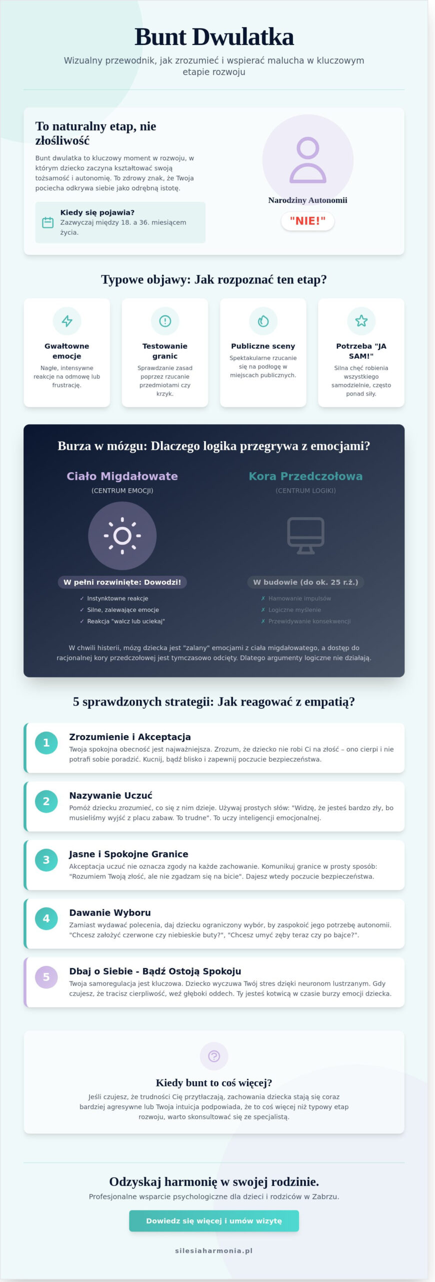 Bunt dwulatka: Jak przetrwać i budować harmonię w domu? Poradnik dla rodziców z Zabrza