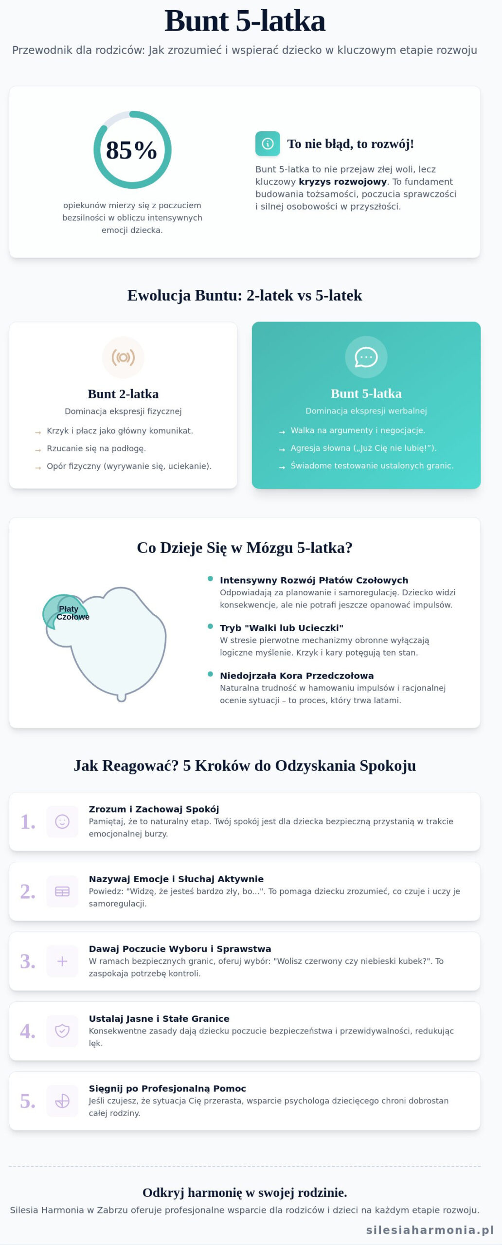 Bunt 5-latka: Jak przetrwać trudny etap i przywrócić harmonię w domu w Zabrzu?